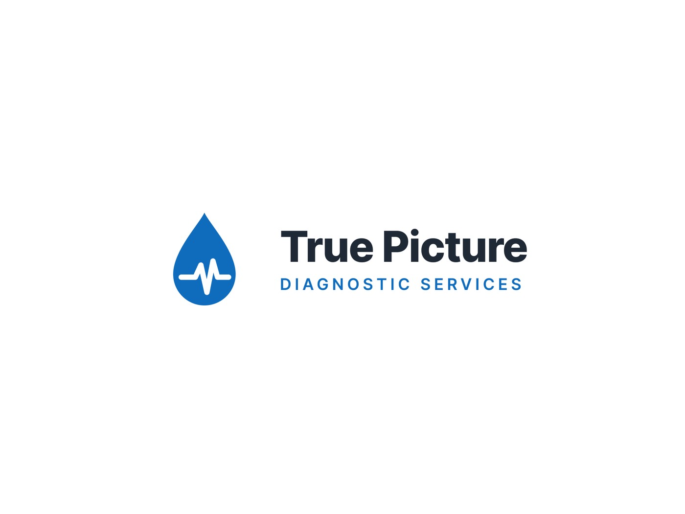 The True Picture Diagnostic horizontal logo lockup.